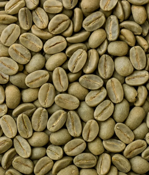 granos de café varie_geisha