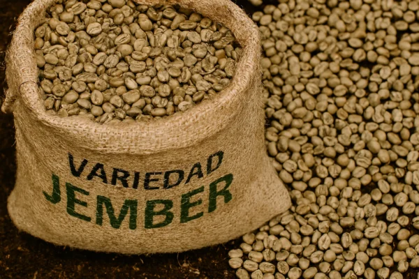 variedad-jember